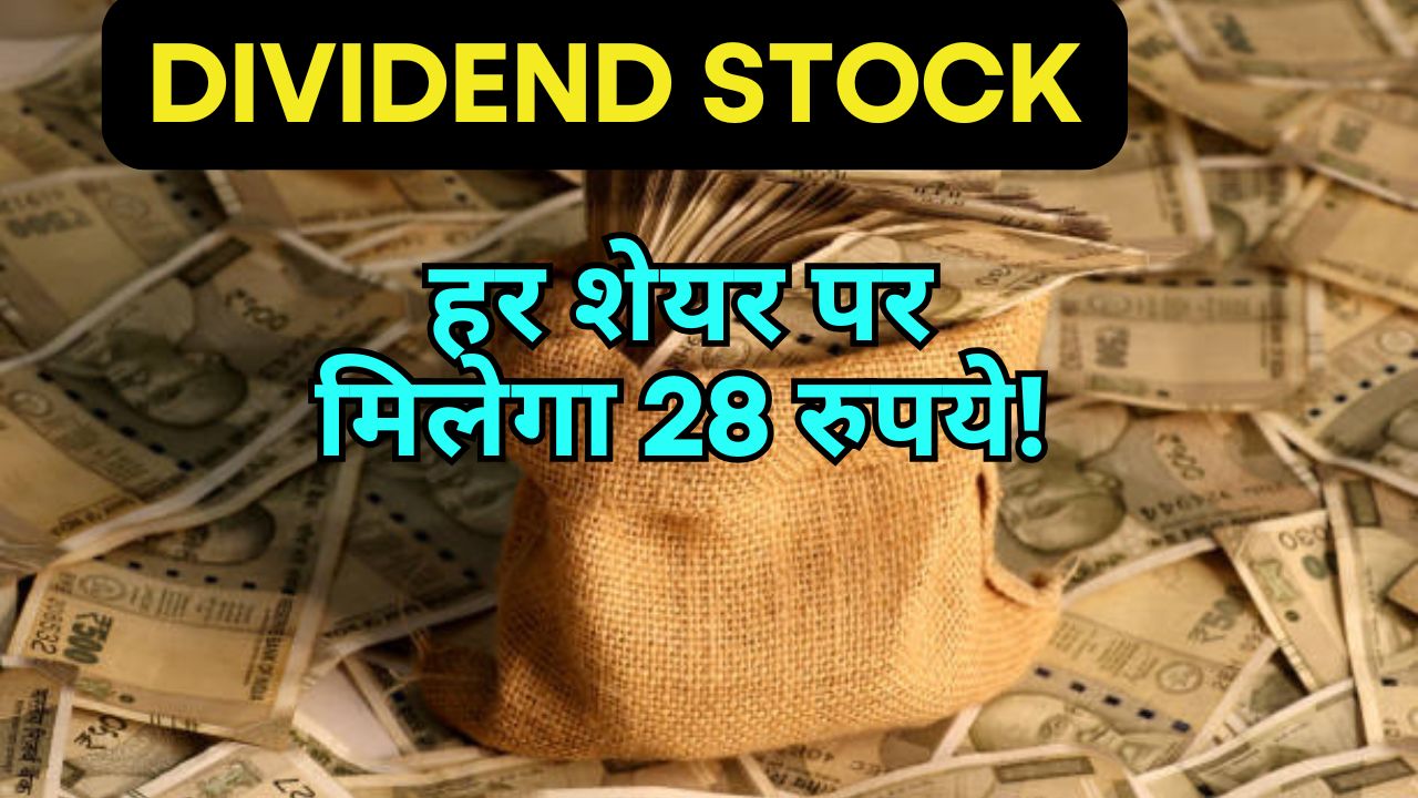 Schaeffler India Dividend 2025